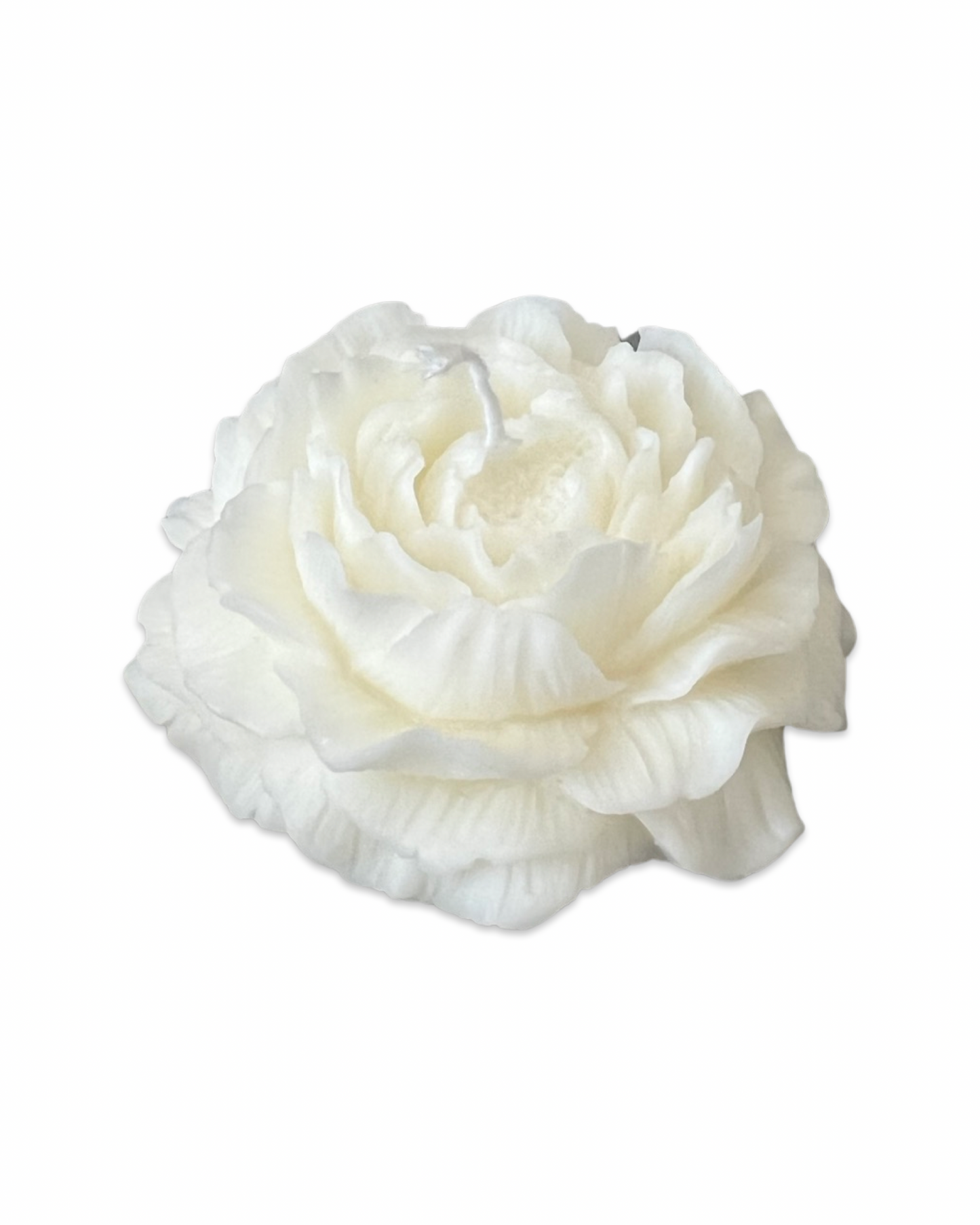 Peony